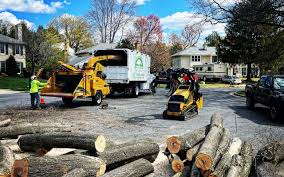 Best Emergency Tree Removal  in Croom, MD