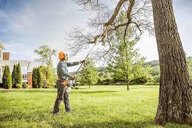 Best Storm Damage Tree Cleanup  in Croom, MD