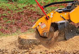 Best Lot and Land Clearing  in Croom, MD