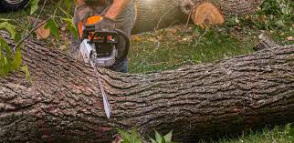 Best Lawn Seeding  in Croom, MD